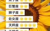 10月5日星座运势查询 十二星座今日运程详解