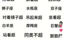 虚妄杰作星座数量全解析：究竟有几个？答案在这里！