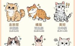 十二星座是否喜欢小动物？科学解析各星座宠物偏好与性格关联