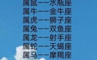 L2星座代表什么小马？深度解析星座与小马角色的神秘关联