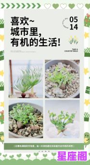 十二星座谁最爱绿植？性格解析揭示隐藏的植物爱好者