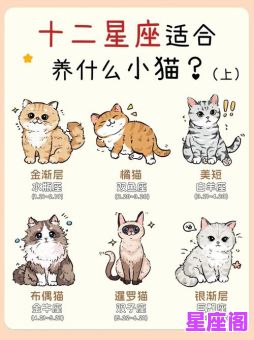 十二星座是否喜欢小动物？科学解析各星座宠物偏好与性格关联