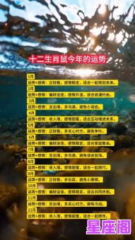 12星座里的专属鼠女：性格特点与运势全解析
