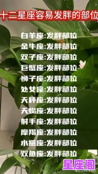 十二星座谁能让你发胖?揭秘最易发胖的星座排行! 十二星座谁能让你发胖?揭秘最易发胖的星座排行!