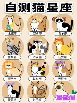 十二星座对应的猫类品种解析：性格特征与推荐指南