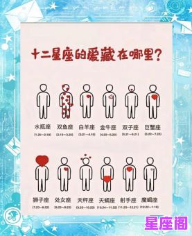 迅速成长的星座有哪些？2025最新星座排行榜深度解析！